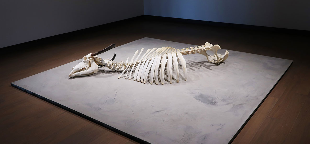 16. İstanbul Bienali - Monoktrom, Ozan Atalan | BMW Joy Blog