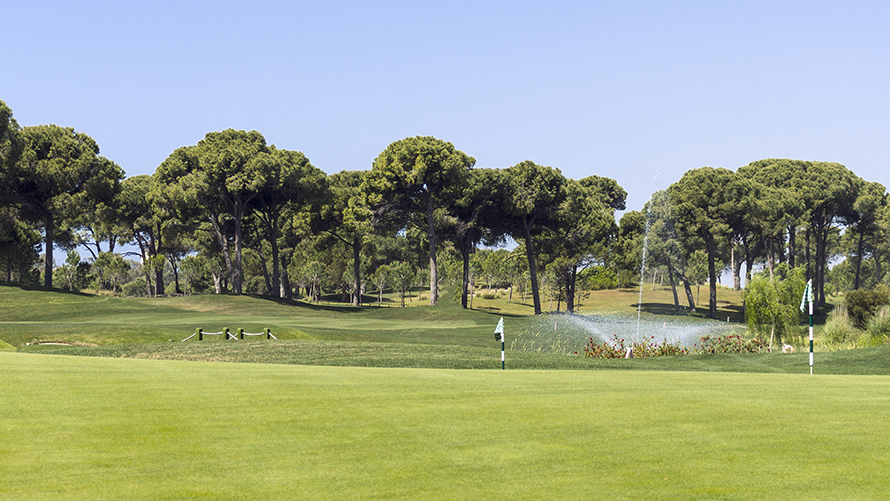 BMW ve Golf Sporu | BMW Joy Blog BMW ve Golf Sporu | BMW Joy Blog