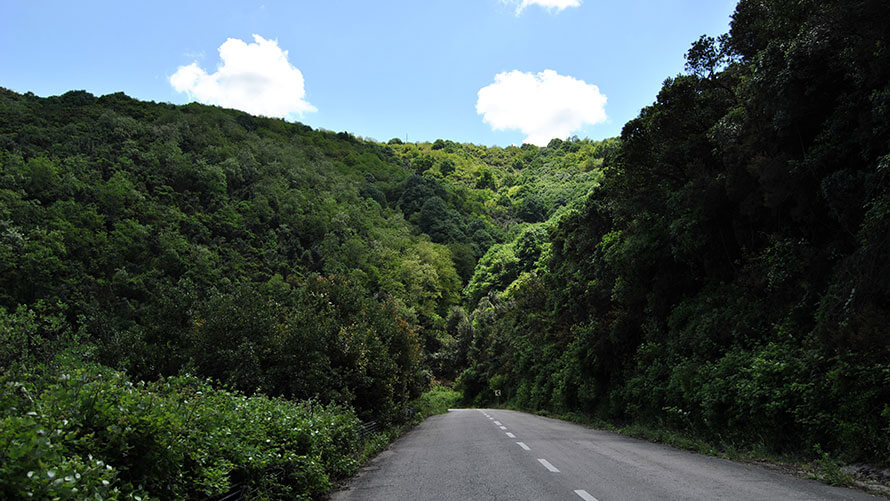 Kaymakdonduran Ormanı, Beykoz - İstanbul’a Yakın Kaçamaklar | BMW Joy Blog
