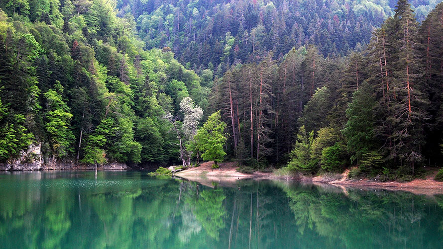 Sülüklügöl Parkı, Bolu - İstanbul’a Yakın Kaçamaklar | BMW Joy Blog