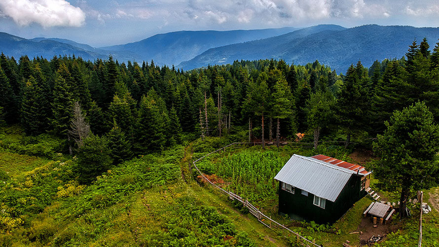 Torkul Gölü, Düzce - İstanbul’a Yakın Kaçamaklar | BMW Joy Blog