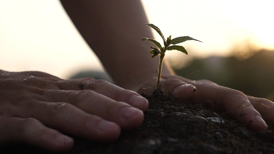 BMW Unlearners | BMW Türkiye