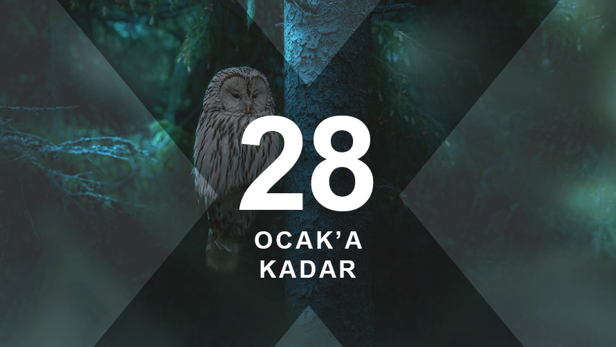 BMW X Takvimi | BMW Joy Blog