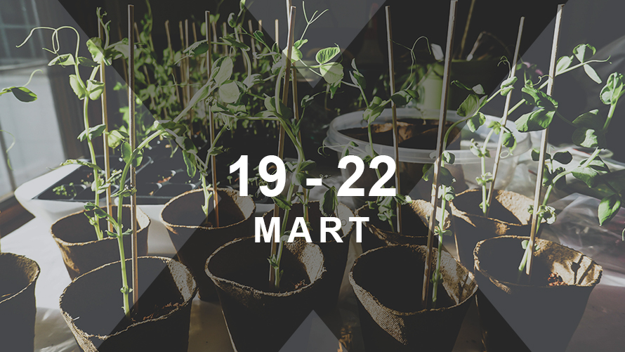 BMW X Takvimi | BMW Joy Blog