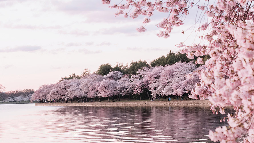 Hofmeister Kıvrımı | BMW Joy Blog Baharla Canlanan Doğa | BMW Joy Blog