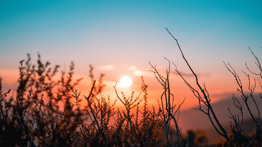 Yeni BMW X2 ile CI Bloom’da Tanışın | BMW Joy Blog İklim Değişikliği ve Yolculuk Anıları, Atıksız Yolculuk Rehberi