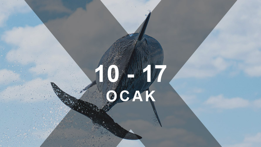 BMW X Takvimi | BMW Joy Blog