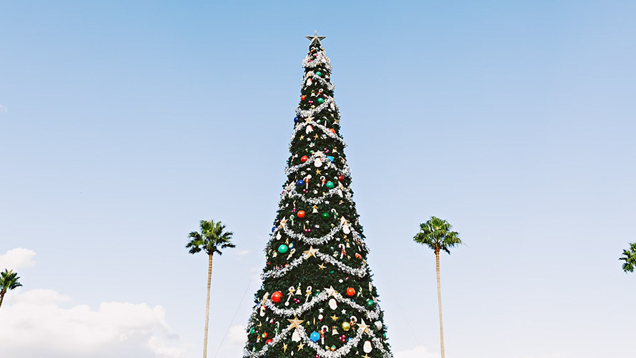 Benzersiz Bir Yılbaşı için Sıra Dışı Rotalar | BMW Joy Blog Benzersiz Bir Yılbaşı için Sıra Dışı Rotalar | BMW Joy Blog