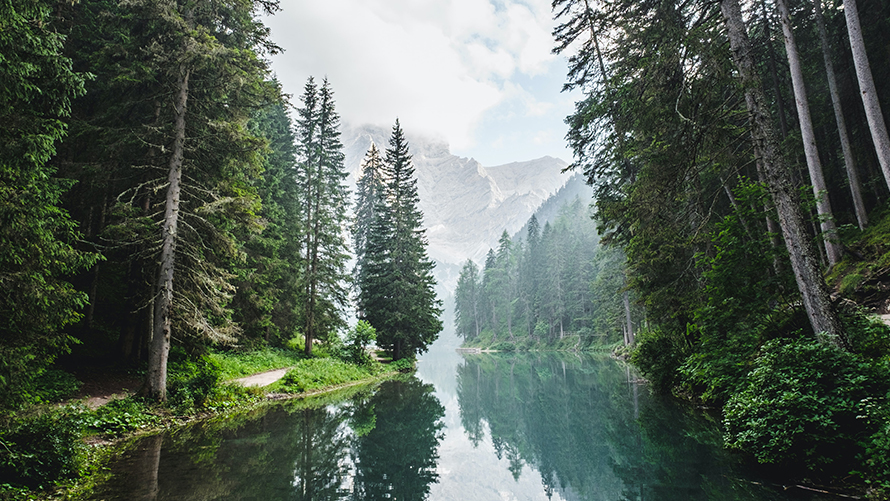 Shinrin-yoku: Bir Eko-terapi Pratiği | BMW Joy Blog Shinrin-yoku: Bir Eko-terapi Pratiği | BMW Joy Blog