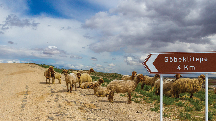 Kahverengi Tabelaların Peşinde | BMW Joy Blog Kahverengi Tabelaların Peşinde | BMW Joy Blog