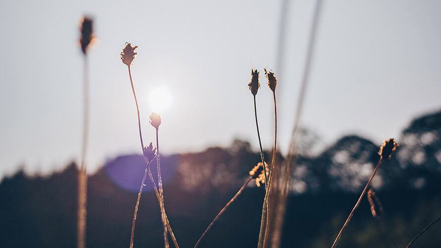 Cittaslow’u Anlamak Cittaslow’u Anlamak